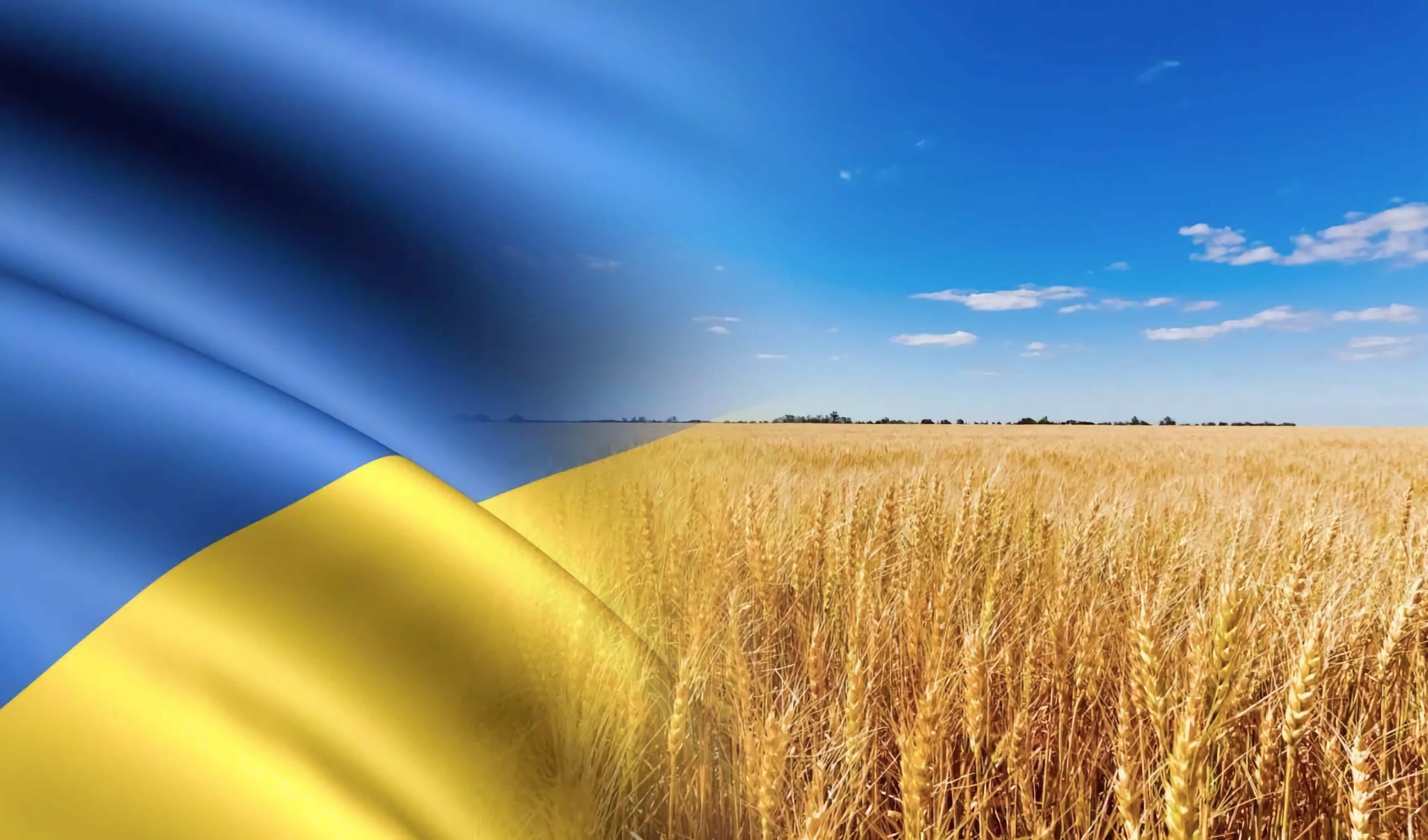 З нагоди 30 річниці Незалежності України